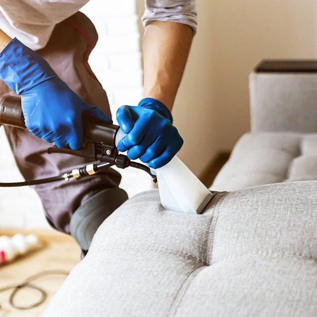 Ekinoba Halı Yıkama